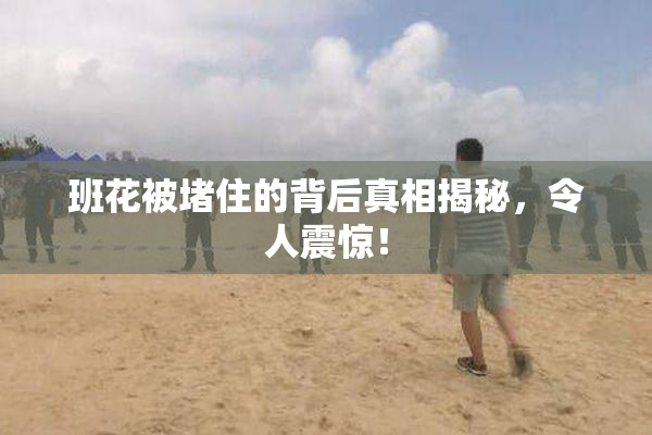 班花被堵住的背后真相揭秘，令人震惊！