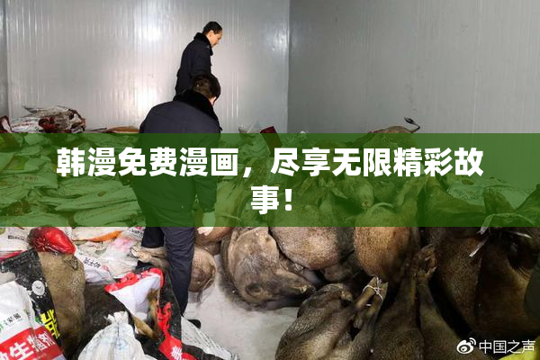 韩漫免费漫画，尽享无限精彩故事！