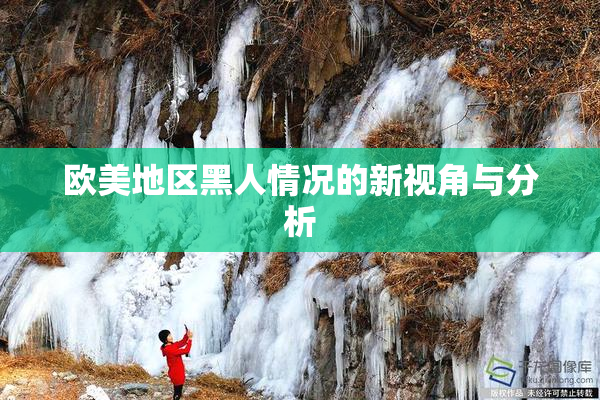 欧美地区黑人情况的新视角与分析