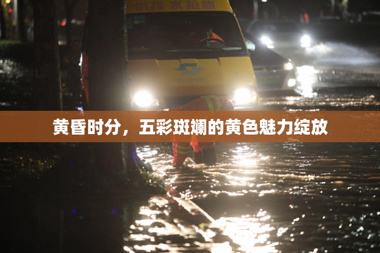 黄昏时分，五彩斑斓的黄色魅力绽放