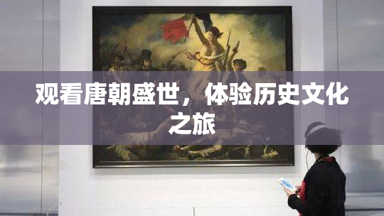观看唐朝盛世，体验历史文化之旅