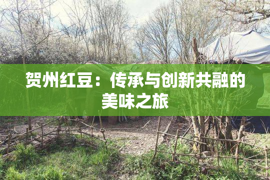 贺州红豆：传承与创新共融的美味之旅