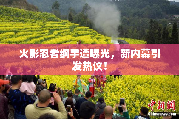 火影忍者纲手遭曝光，新内幕引发热议！