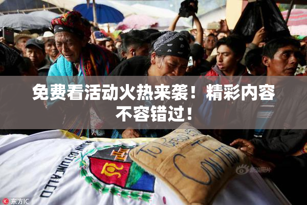免费看活动火热来袭！精彩内容不容错过！
