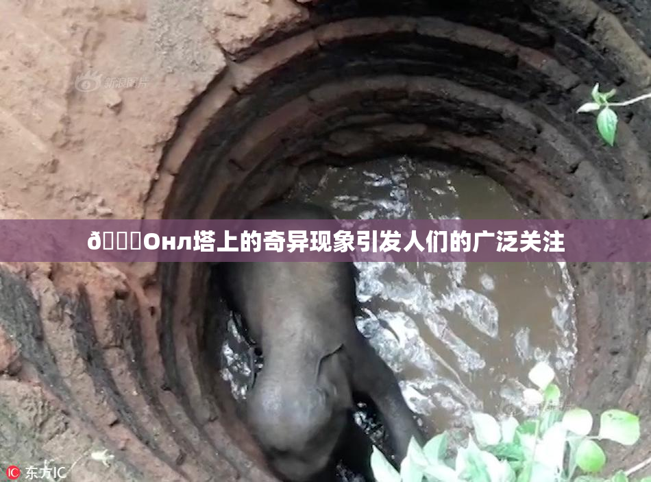 🐔Oнл塔上的奇异现象引发人们的广泛关注