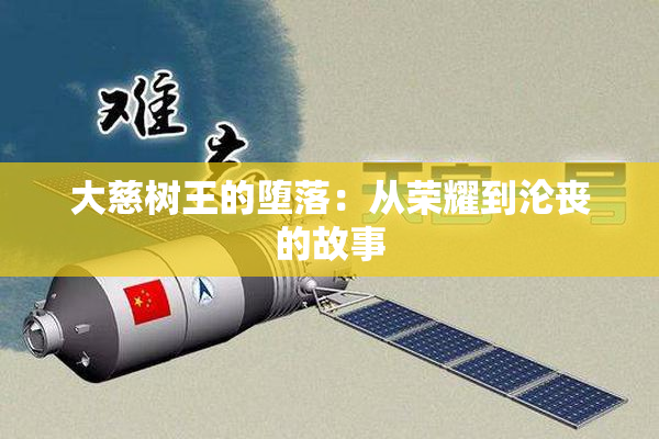 大慈树王的堕落：从荣耀到沦丧的故事