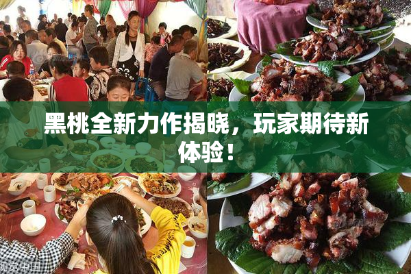 黑桃全新力作揭晓，玩家期待新体验！
