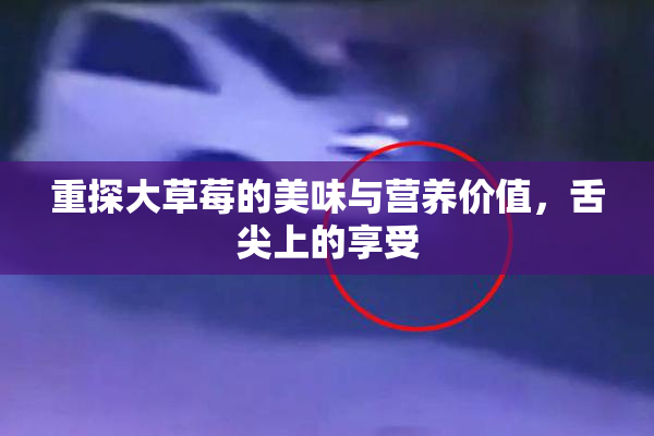 重探大草莓的美味与营养价值，舌尖上的享受