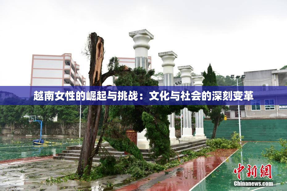 越南女性的崛起与挑战：文化与社会的深刻变革