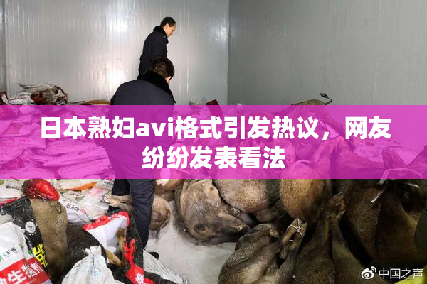 日本熟妇avi格式引发热议，网友纷纷发表看法