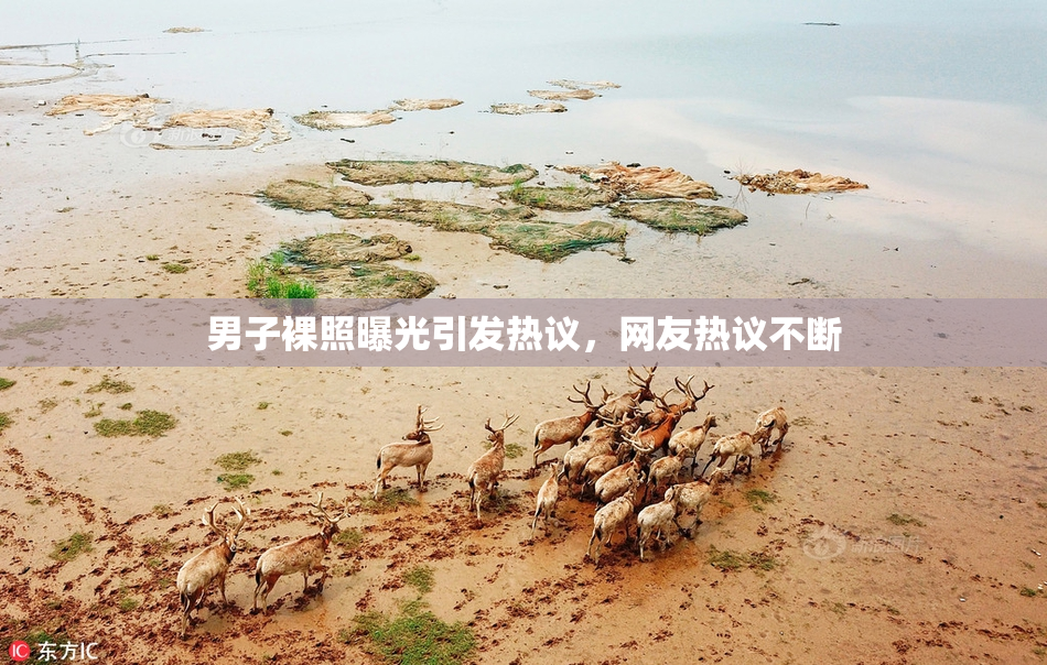 男子裸照曝光引发热议，网友热议不断