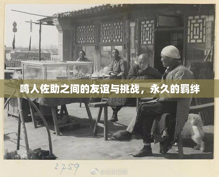 鸣人佐助之间的友谊与挑战，永久的羁绊