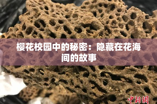 樱花校园中的秘密：隐藏在花海间的故事