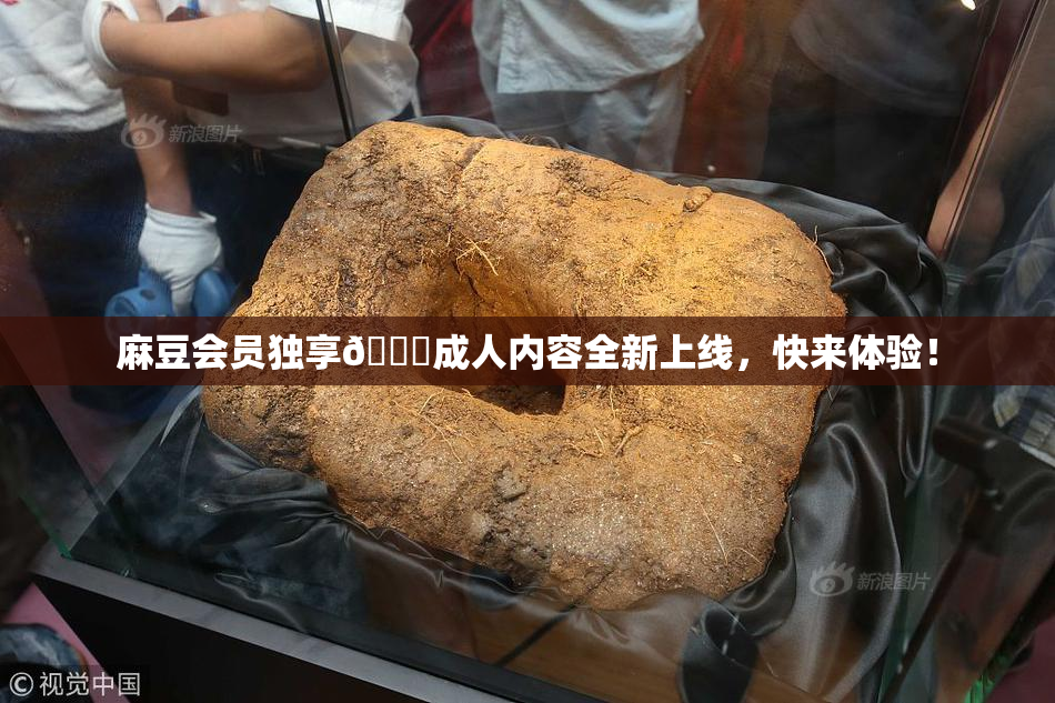 麻豆会员独享🔞成人内容全新上线，快来体验！