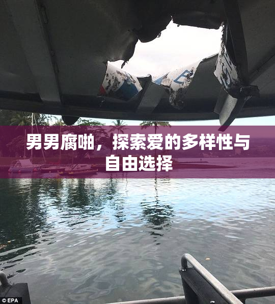 男男腐啪，探索爱的多样性与自由选择