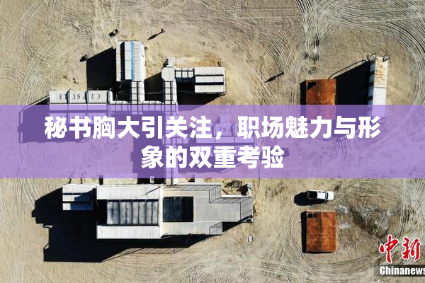 秘书胸大引关注，职场魅力与形象的双重考验