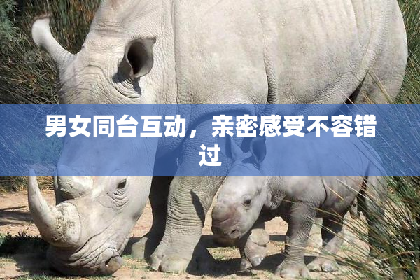 男女同台互动，亲密感受不容错过