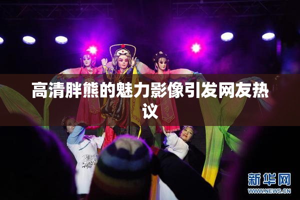 高清胖熊的魅力影像引发网友热议