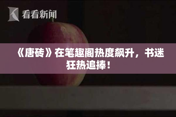 《唐砖》在笔趣阁热度飙升，书迷狂热追捧！