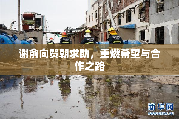 谢俞向贺朝求助，重燃希望与合作之路