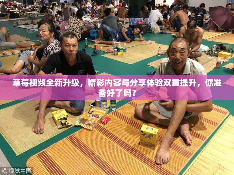 草莓视频全新升级，精彩内容与分享体验双重提升，你准备好了吗？