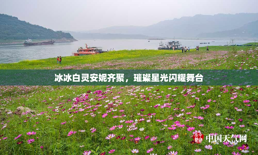 冰冰白灵安妮齐聚，璀璨星光闪耀舞台