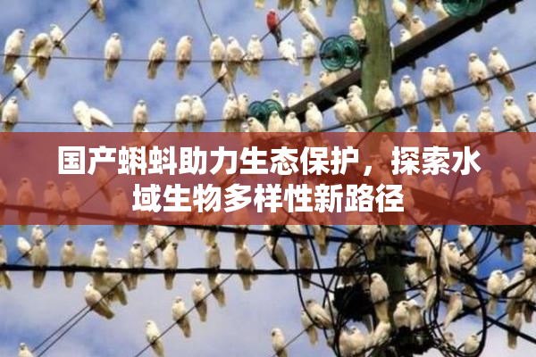 国产蝌蚪助力生态保护，探索水域生物多样性新路径