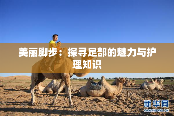 美丽脚步：探寻足部的魅力与护理知识