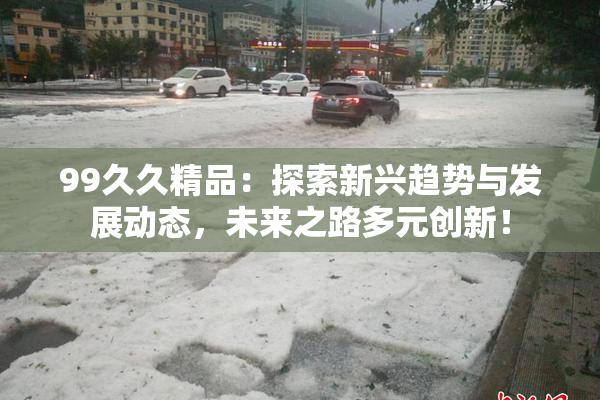 99久久精品：探索新兴趋势与发展动态，未来之路多元创新！