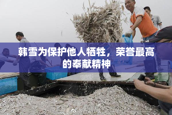 韩雪为保护他人牺牲，荣誉最高的奉献精神