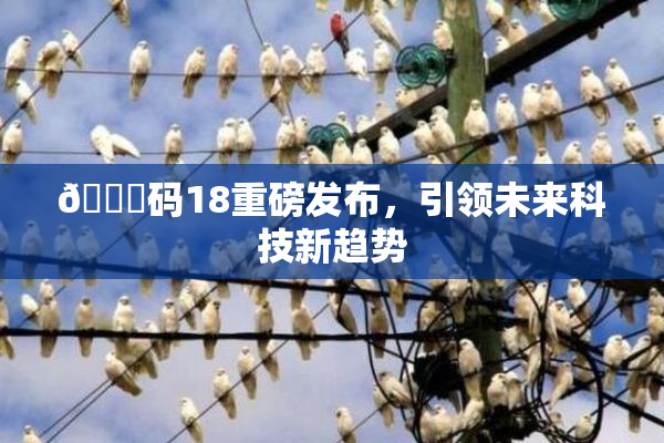 🈚码18重磅发布，引领未来科技新趋势