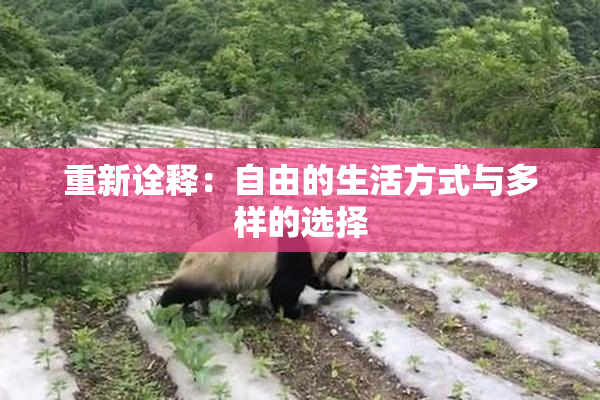 重新诠释：自由的生活方式与多样的选择
