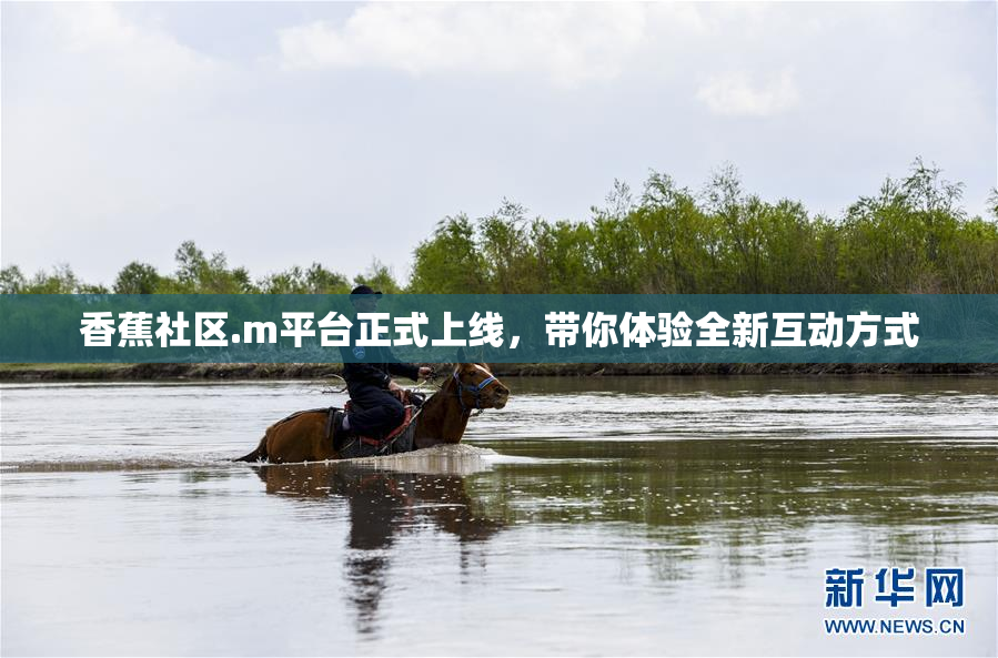 香蕉社区.m平台正式上线，带你体验全新互动方式