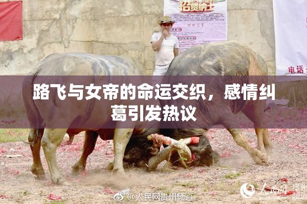 路飞与女帝的命运交织，感情纠葛引发热议