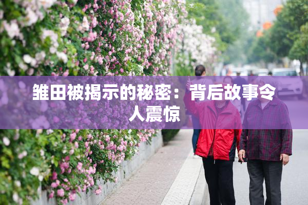 雏田被揭示的秘密：背后故事令人震惊