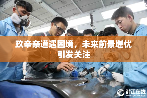 玖辛奈遭遇困境，未来前景堪忧引发关注