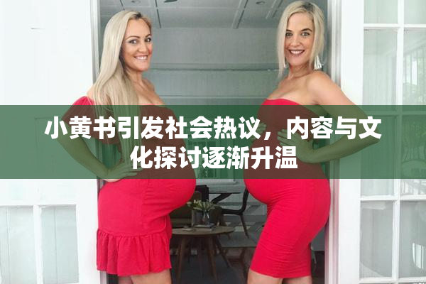 小黄书引发社会热议，内容与文化探讨逐渐升温