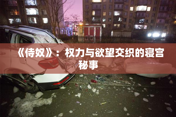 《侍奴》：权力与欲望交织的寝宫秘事