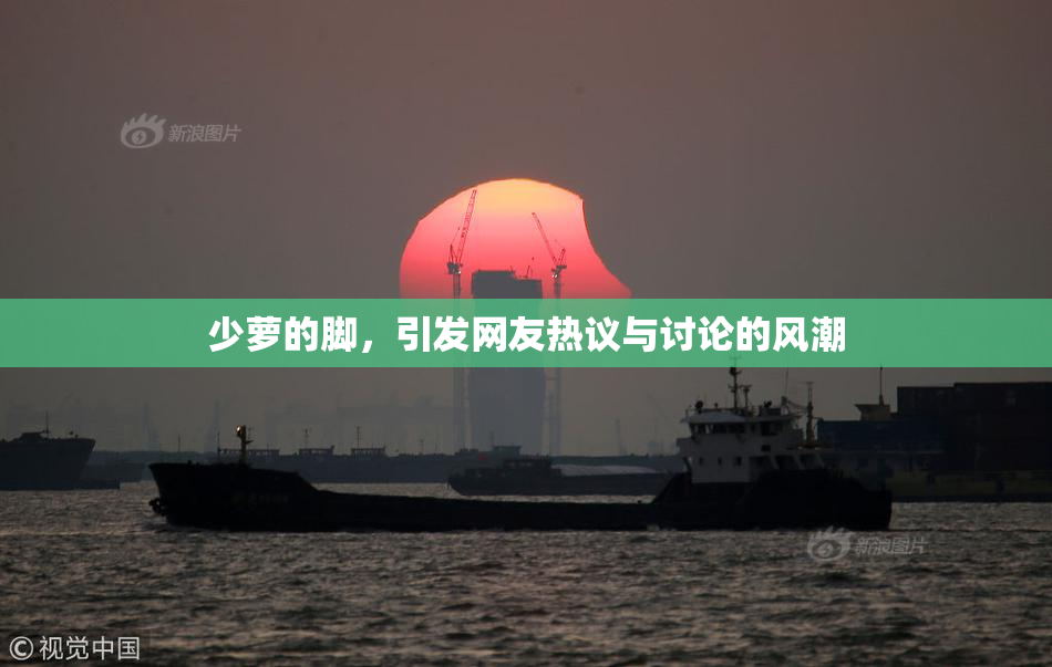 少萝的脚，引发网友热议与讨论的风潮