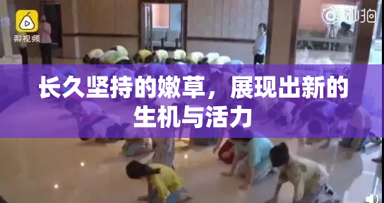 长久坚持的嫩草，展现出新的生机与活力