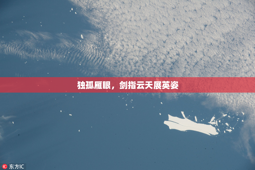 独孤雁眼，剑指云天展英姿