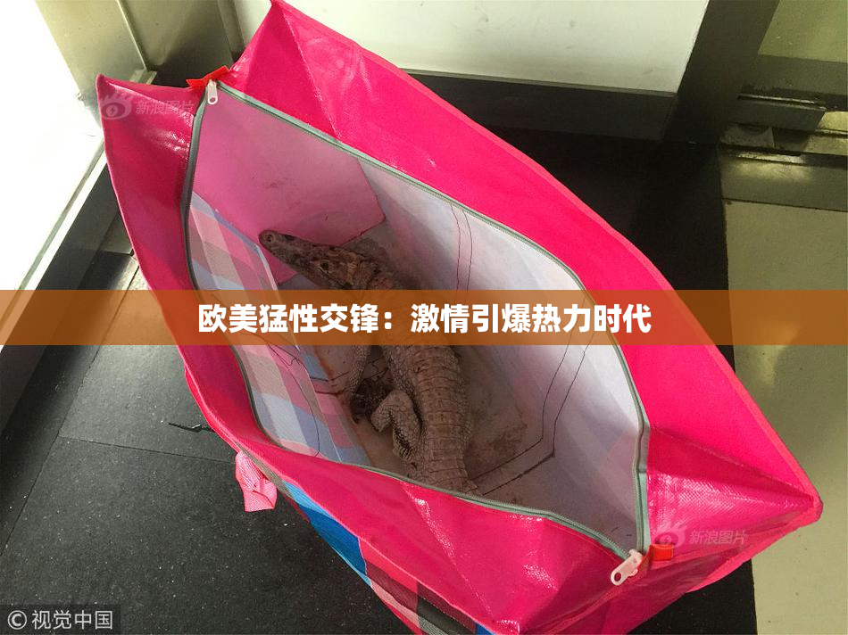 欧美猛性交锋：激情引爆热力时代
