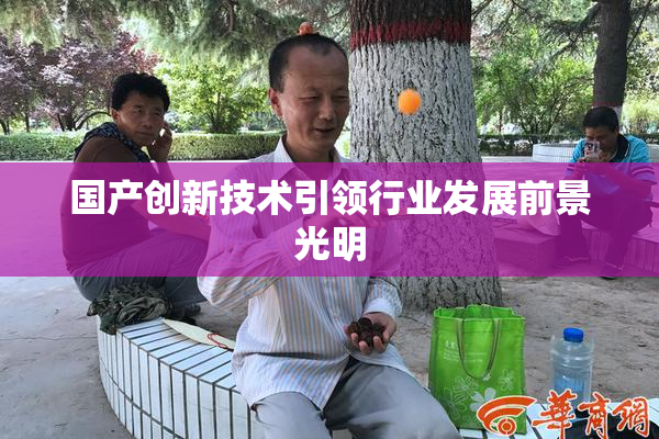 国产创新技术引领行业发展前景光明