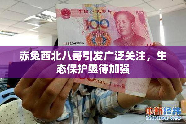 赤兔西北八哥引发广泛关注，生态保护亟待加强