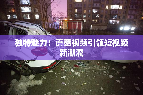 独特魅力！蘑菇视频引领短视频新潮流