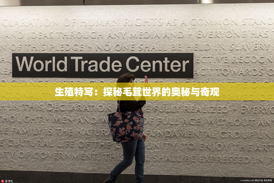 生殖特写：探秘毛茸世界的奥秘与奇观
