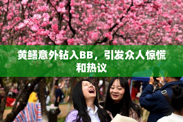 黄鳝意外钻入BB，引发众人惊慌和热议