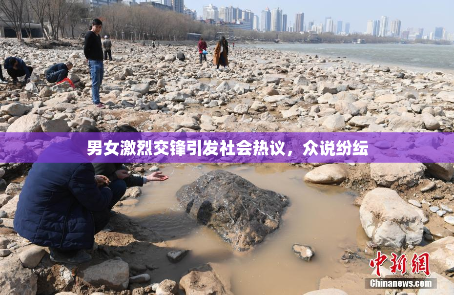 男女激烈交锋引发社会热议，众说纷纭