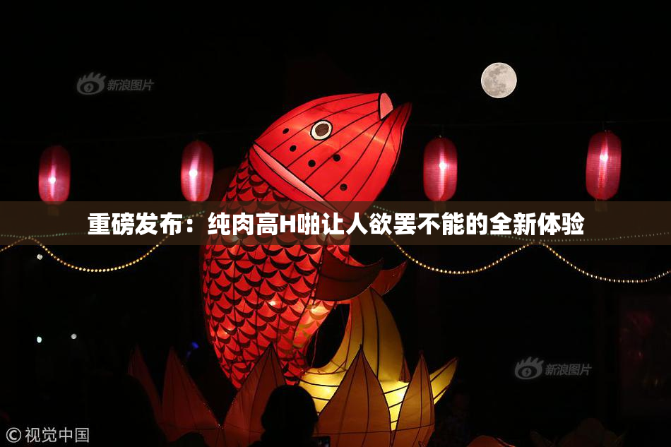 重磅发布：纯肉高H啪让人欲罢不能的全新体验