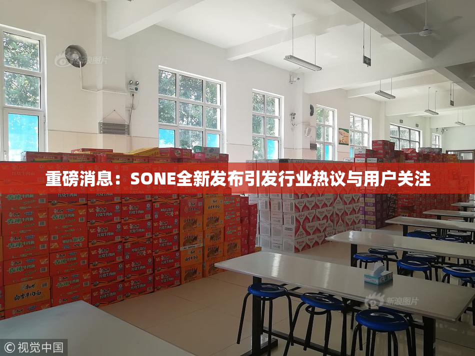 重磅消息：SONE全新发布引发行业热议与用户关注